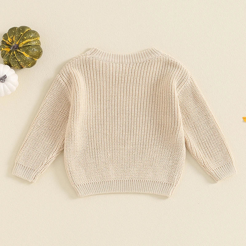 Pumpkin Patch Fall Knit Baby Toddler Sweater
