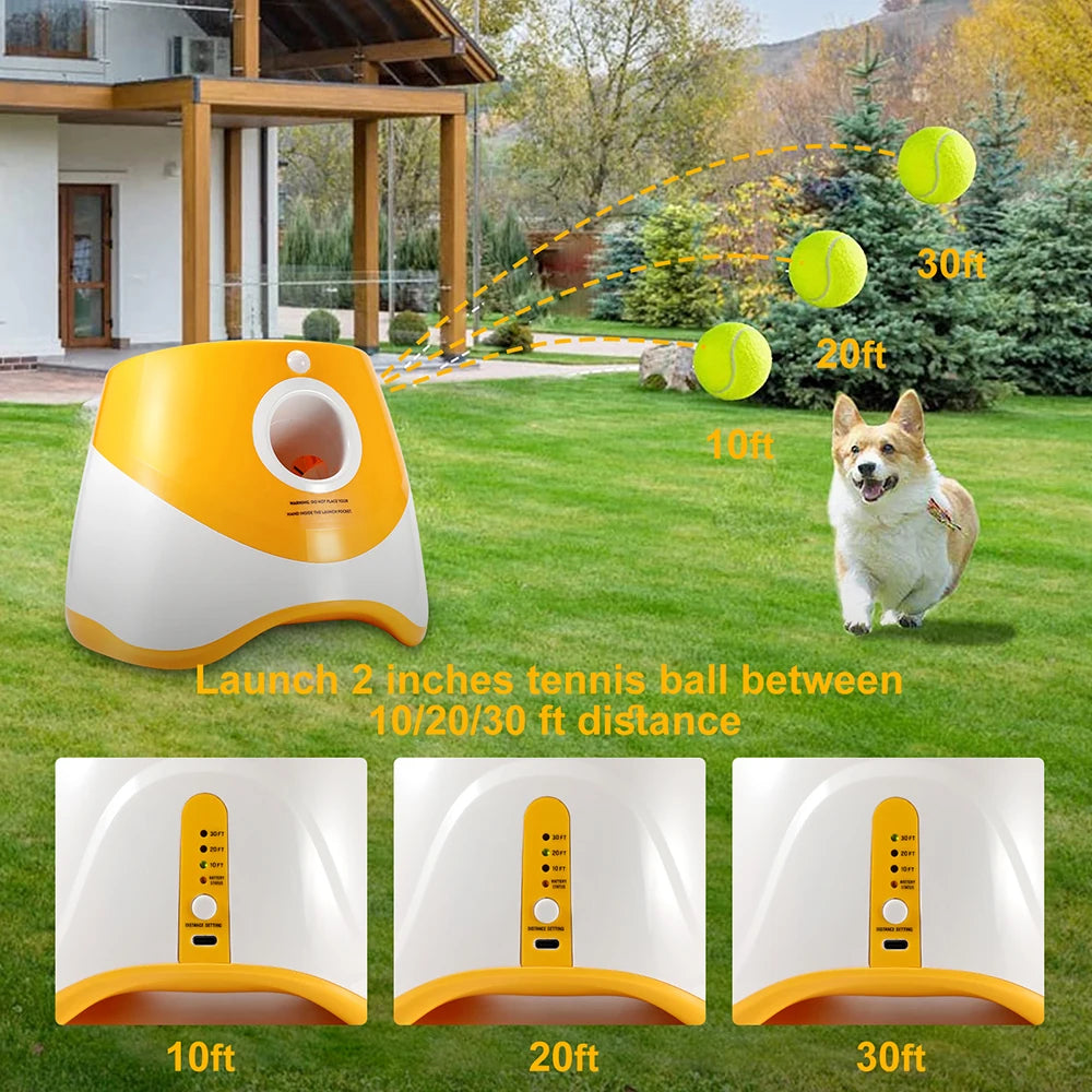 Automatic Dog Ball Launcher, Indoor/Outdoor Pet Toy