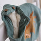 Gwenny Horse Sweater (Seafoam)