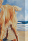 Beach Dogs Coastal Canvas Wall Art, Golden Retriever