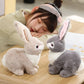 Soft Plush Bunny Rabbit