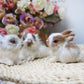 Realistic Bunny Rabbit Toy