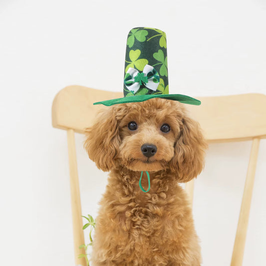 Lucky Leprechaun Pet Hat – St. Patrick’s Day Dog Accessory