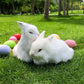 Mini Soft Bunnies