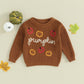 Baby Pumpkin Fall Halloween Knitted Sweater