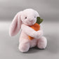 Poppy the Bunny 🌸Plush – Soft Bunny with Carrot (12”)