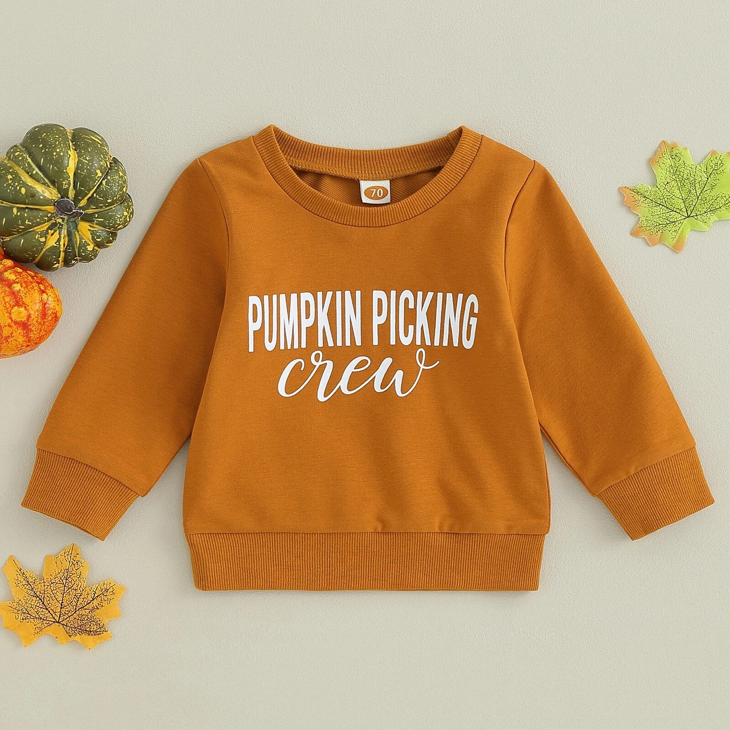 Girls Boys Thanksgiving Pumpkin Pie Sweatshirt 12M-4T