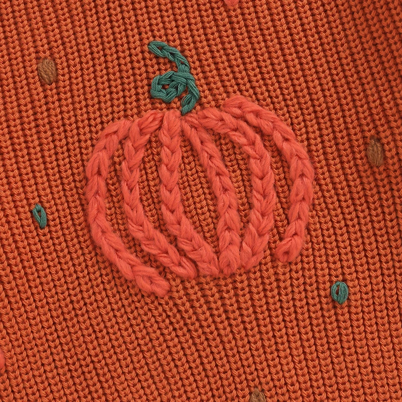 Baby Pumpkin Autumn Fall Pullover Knit Sweater for Boys and Girls