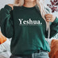 Yeshua. The Same Today, Tomorrow & Forever Sweatshirt