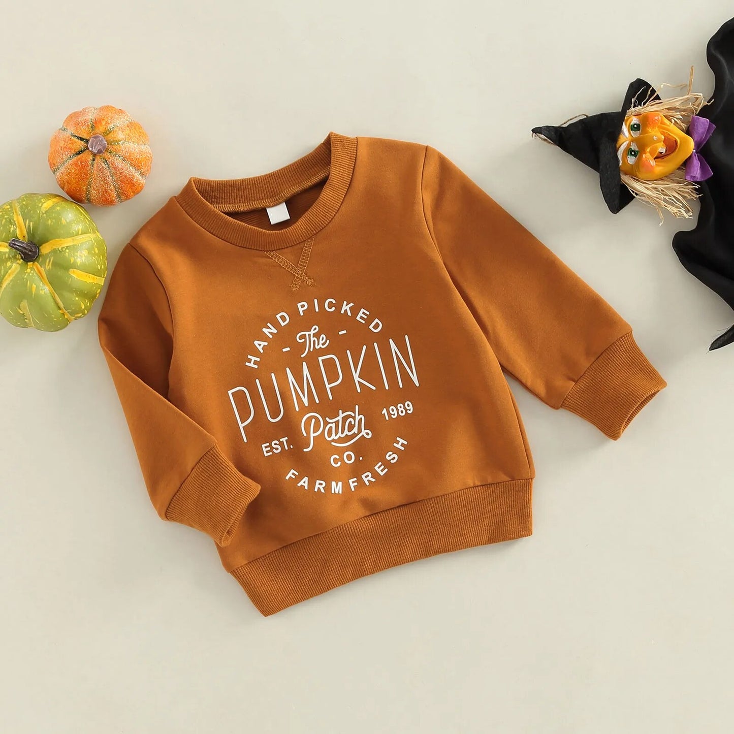 Hand Picked the Pumpkin Sweatshirt