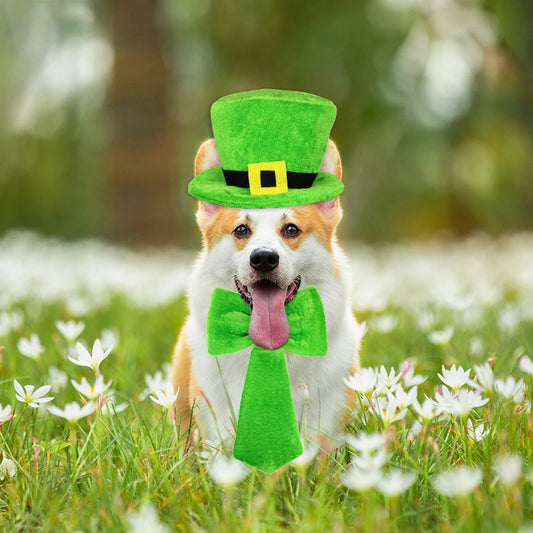 St. Patrick's Day Dog Outfit