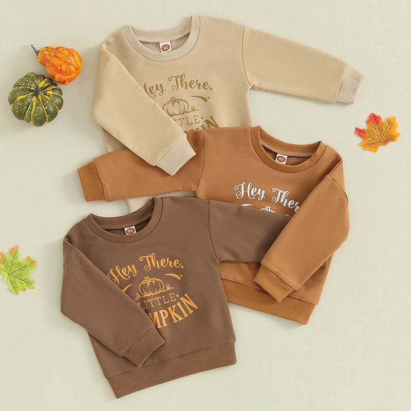 Hey There Little Pumpkin Baby and Toddler Pullover