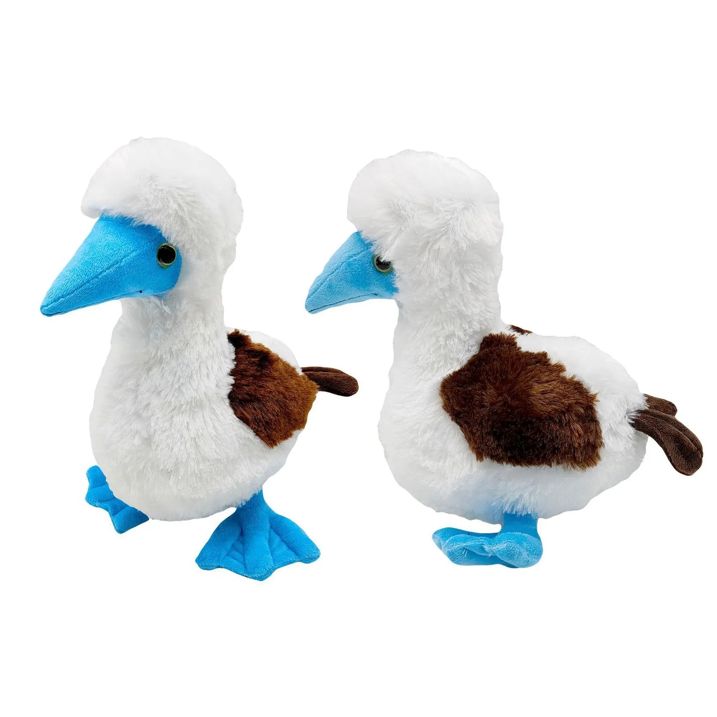 Blue Footed Booby Plush Bird