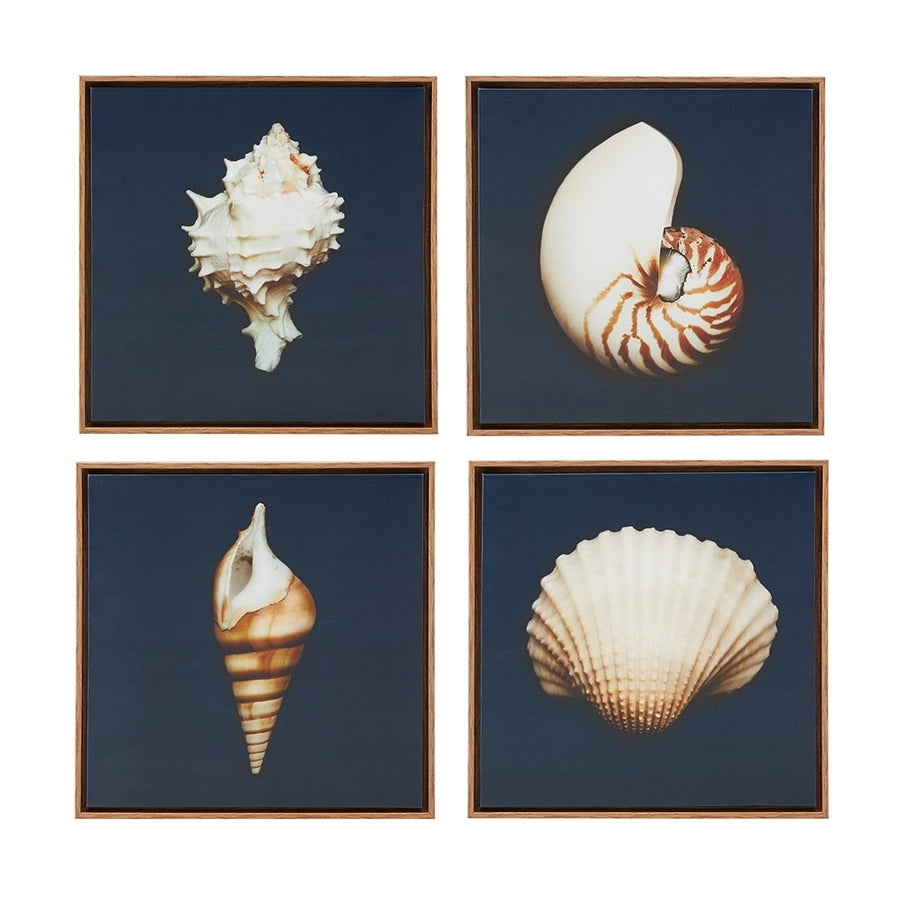 Coastal Seashells 4-Piece Framed Canvas Wall Art