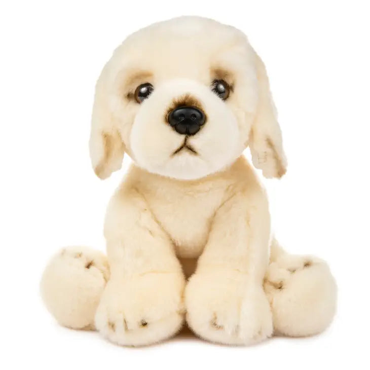 12" Stuffed Golden Retriever Plushie