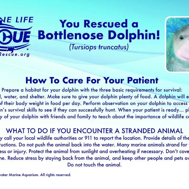 Marine Life Rescue Project Plush - Bottlenose Dolphin