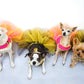 Sassy Tutu Dog Dress