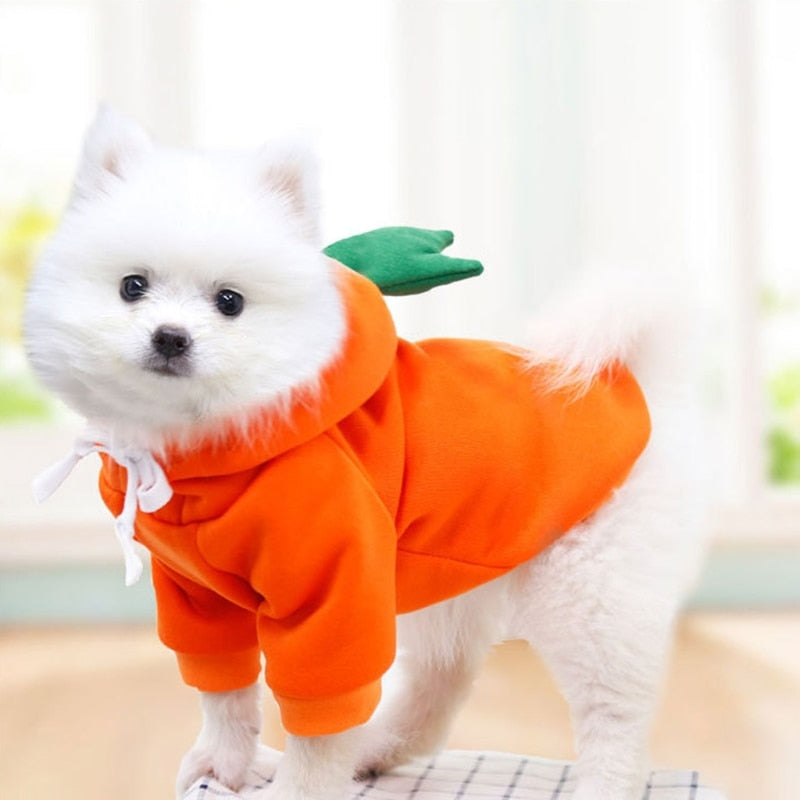 Dog Sweatshirt/Hoodies Costume Size XS-2XL