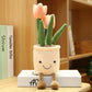 Potted Plush Plants - Bring a Touch of Nature into Your Home!