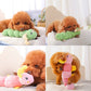 Caterpillar Dog Chew Squeak Toy