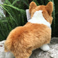 Corgi Plush Animal Toy