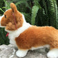 Corgi Plush Animal Toy