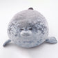 Plush Seal - Lifelike Marine Animal