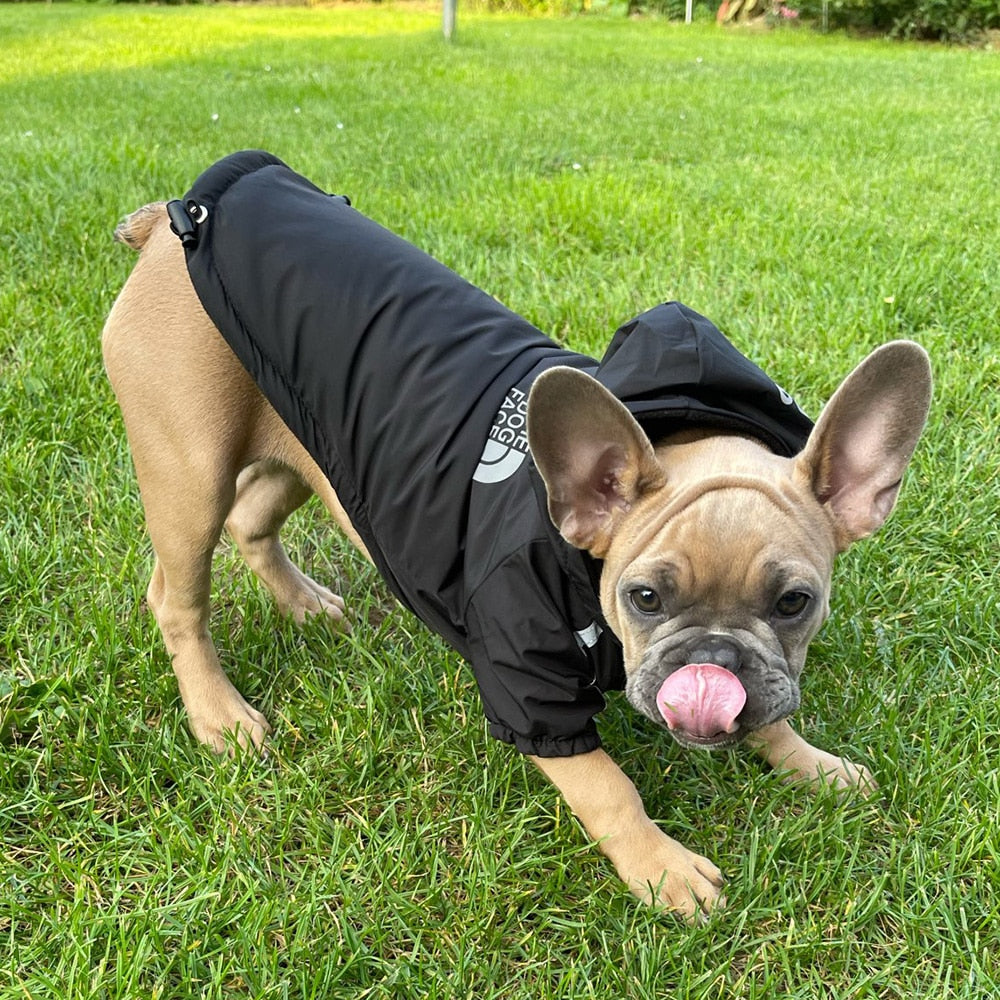 The Dog Face - Warm, Waterproof, Reflective Jacket for Dogs - Sizes S-3XL