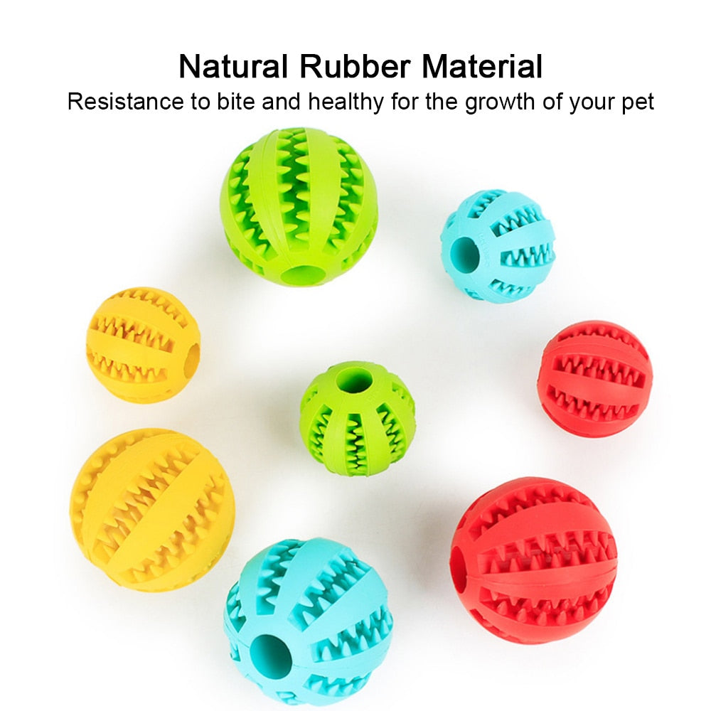 Dog Chew Toy Interactive Rubber Balls