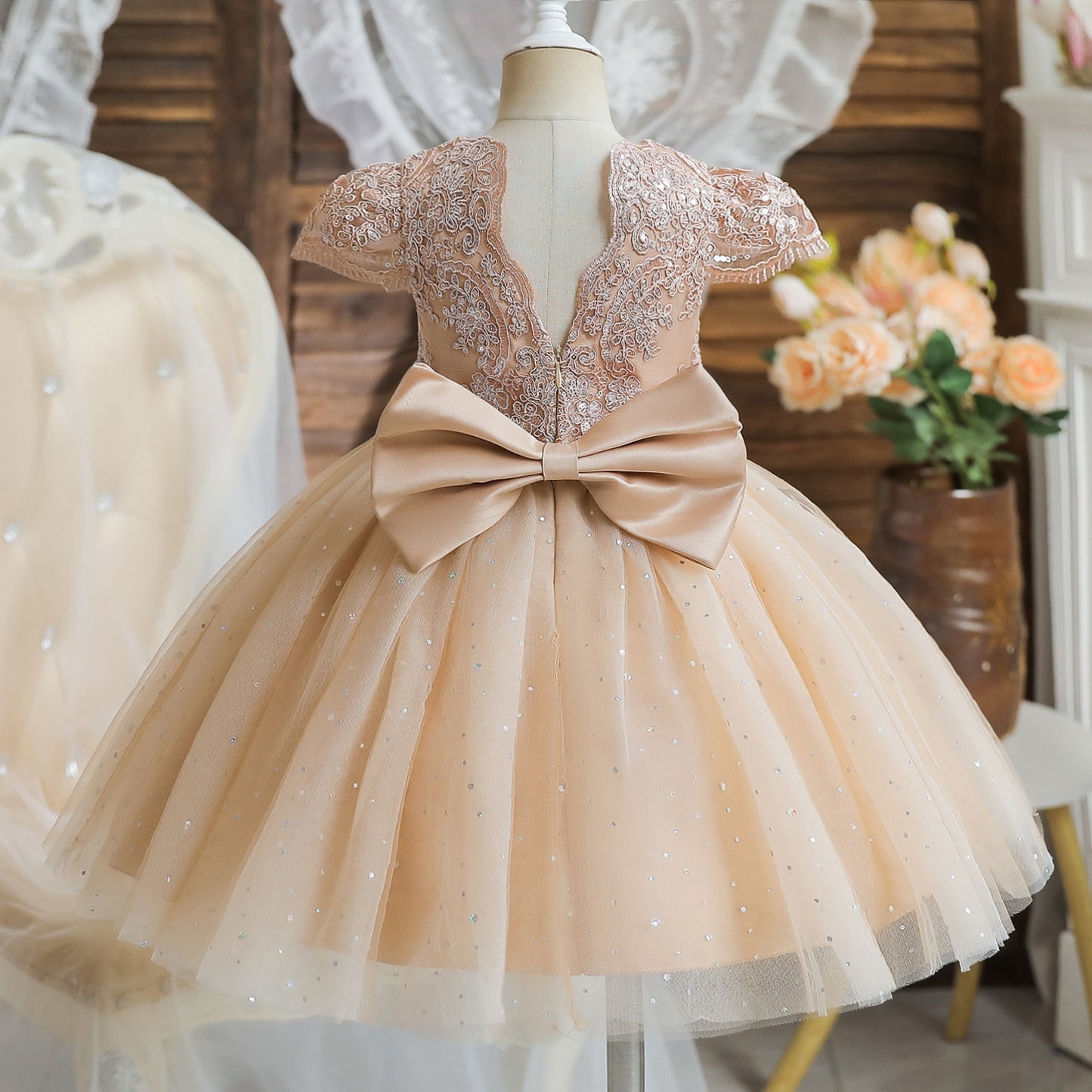 Timeless Elegance: Infant and Toddler Girl's Special Occasion Dress