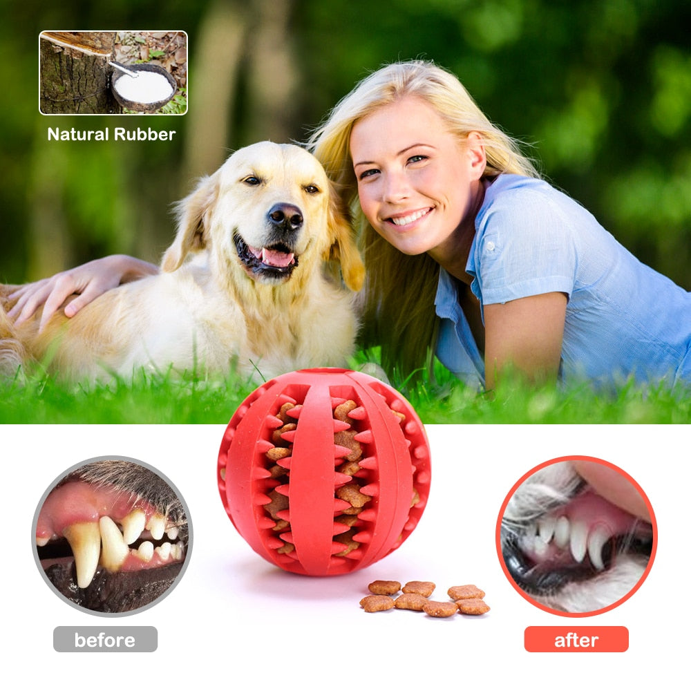 Dog Chew Toy Interactive Rubber Balls