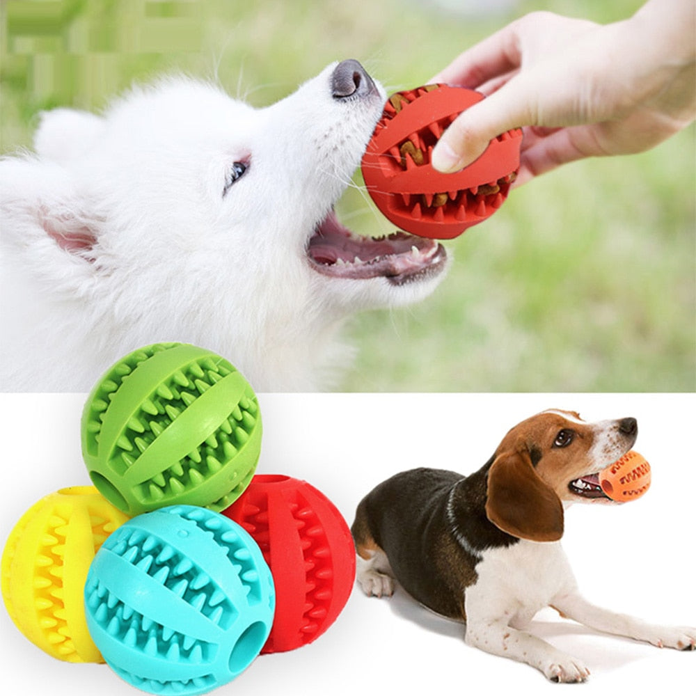 Dog Chew Toy Interactive Rubber Balls