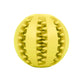 Dog Chew Toy Interactive Rubber Balls
